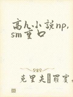 高h小说np,sm重口