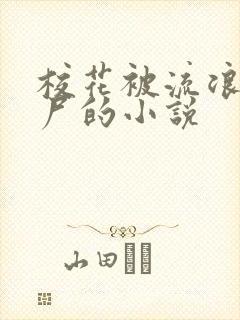 校花被流浪汉捡尸的小说