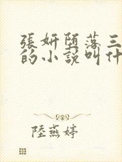 张妍堕落三部曲的小说叫什么