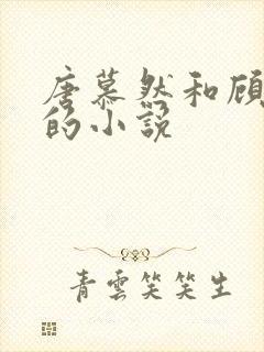 唐慕然和顾青青的小说