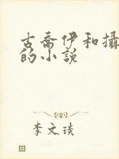 古乔伊和摄政王的小说