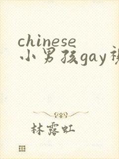 chinese小男孩gay视频男同网站