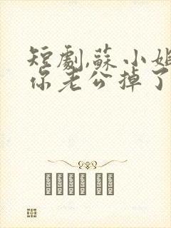 短剧,苏小姐,你老公掉了