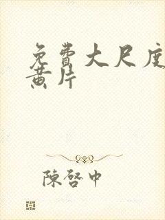 免费大尺度一级黄片