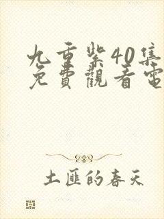 九重紫40集全免费观看电视连续剧封面