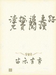 渣总追妻路漫漫免费阅读