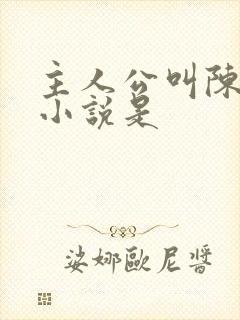 主人公叫陈平的小说是