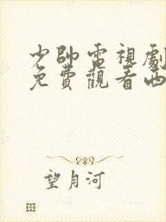 少帅电视剧全集免费观看西瓜