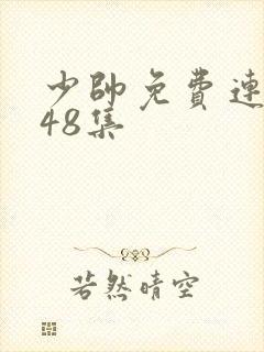 少帅免费连续剧48集
