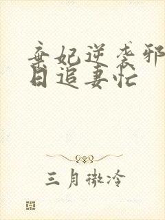 弃妃逆袭邪王日日追妻忙