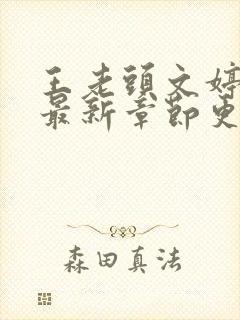 王老头文婷小说最新章节更新时间