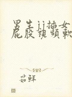 男生jj插女生屁股视频软件