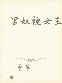 男奴被女王调教封面