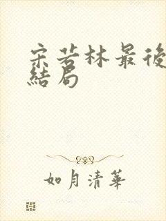 宋若林最后什么结局