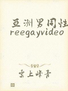 亚洲男同性恋freegayvideo