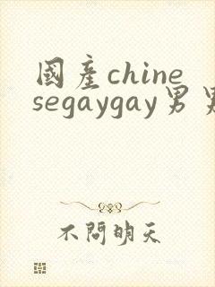 国产chinesegaygay男男网站