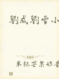 刘成刘雪小说