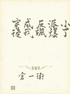 穿成反派小娇妻后我飒爆了小说