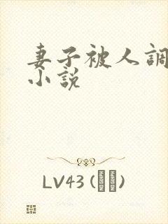 妻子被人调教类小说封面