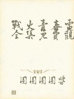 战火青春电视剧全集免费观看封面