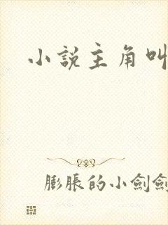 小说主角叫刘星