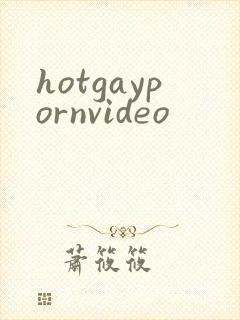 hotgaypornvideo