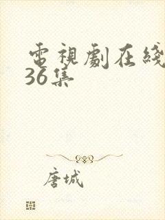 电视剧在线观看36集