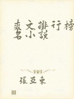 爽文排行榜前十名小说