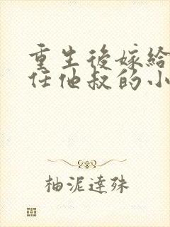 重生后嫁给了前任他叔的小说封面