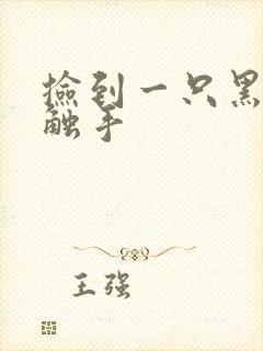 捡到一只黑心小触手