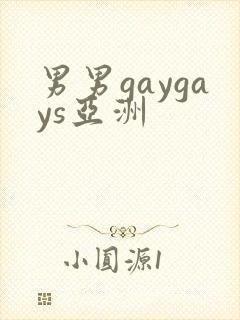 男男gaygays亚洲