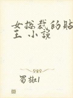 女总裁的贴身兵王 小说