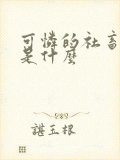 可怜的社畜讲的是什么