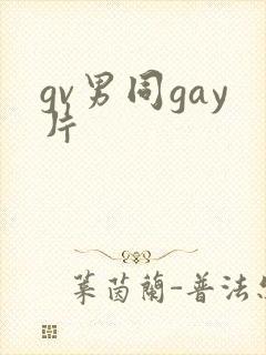 gv男同gay片