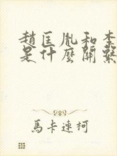 赵匡胤和李世民是什么关系封面