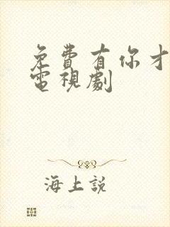 免费有你才有家电视剧