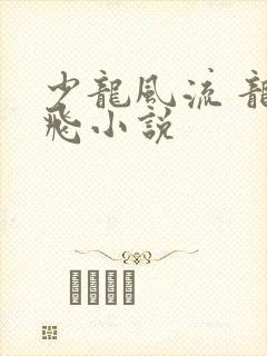 少龙风流 龙剑飞小说