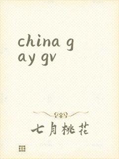 china gay gv封面