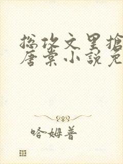 总攻文里抢主角唐棠小说免费阅读无弹窗