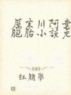 厉寒川阿棠的双胞胎小说免费阅读