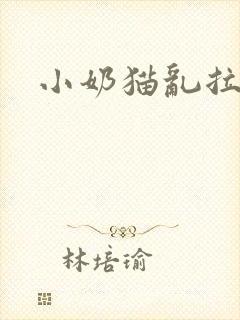 小奶猫乱拉乱尿