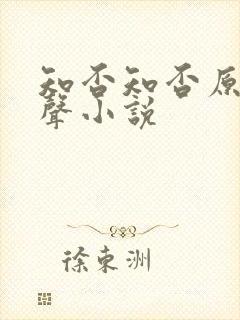 知否知否原著有声小说