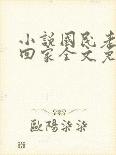 小说国民老公带回家全文免费阅读封面