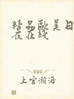精品欧美日韩午夜在线