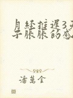 月经推迟3天肚子胀胀的感觉乳房胀痛封面