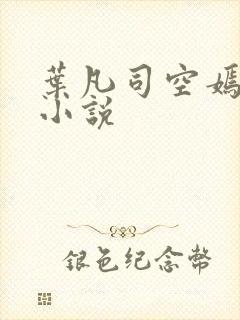 叶凡司空嫣然 小说