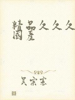 精品久久久久久国产封面