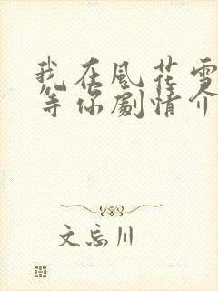 我在风花雪月里等你剧情介绍