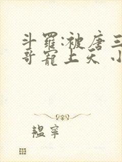 斗罗:被唐三哥哥宠上天 小说封面