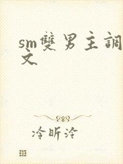 sm双男主调教文